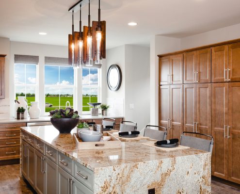 homes for sale carson city nv in Little Lane