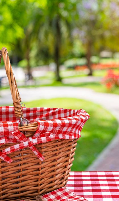 A picnic basket at a park. Enjoy a picnic and other outdoor activities when you buy a new home in Carson City Nevada.